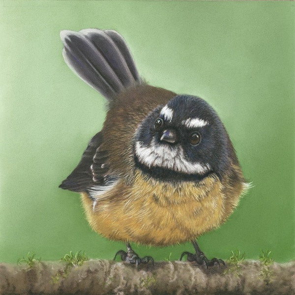 Fantail 2 by Nicola Reif