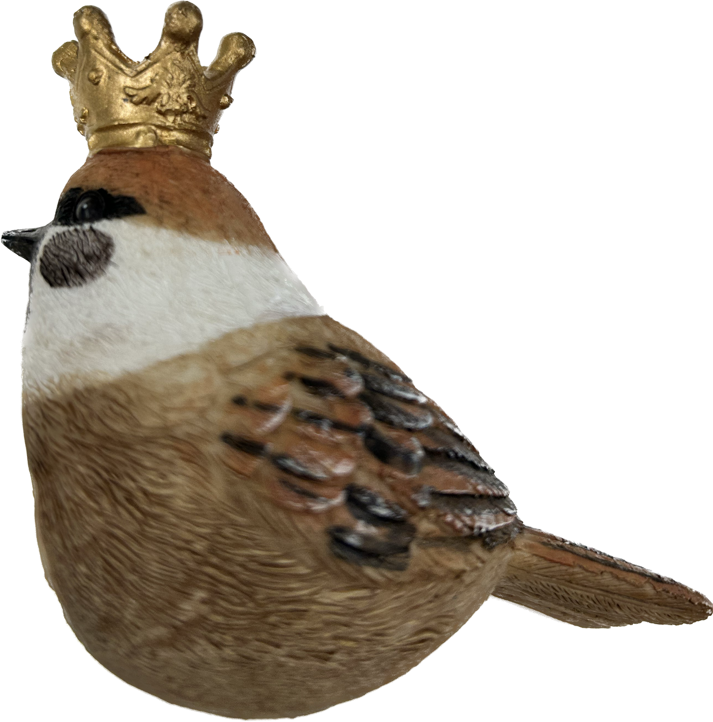 Brown Bird with Crown