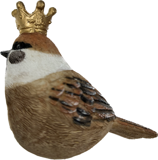 Brown Bird with Crown