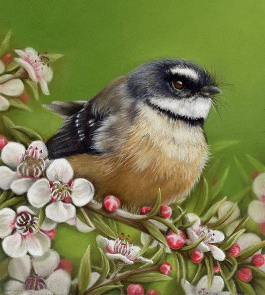 Fantail and Manuka by Nicola Reif