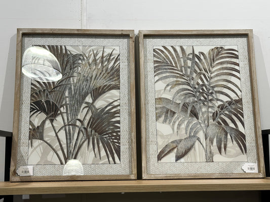 Fern Frames