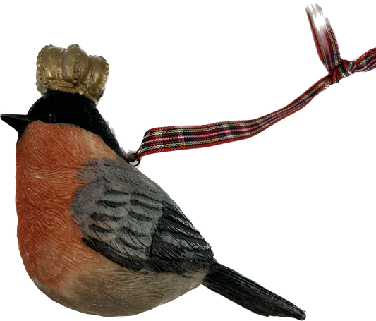 Black bird with Crown
