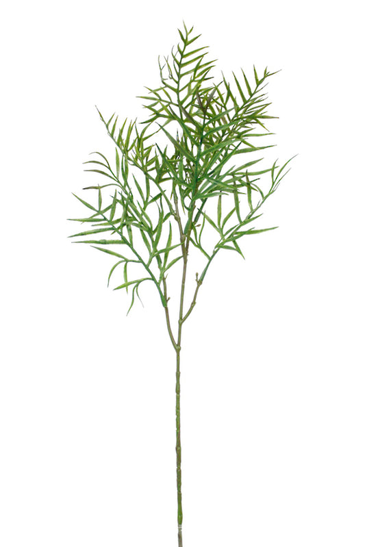 Grevillea Leaf Spray