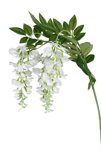 Wisteria Spray - White