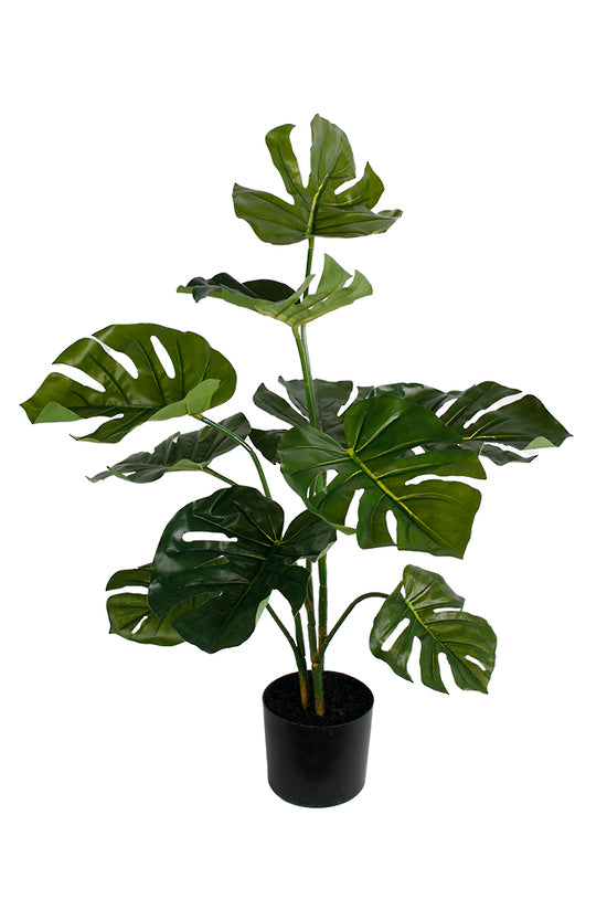 Monstera Potted Plant 76cm
