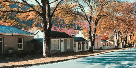 Canvas Art - Arrowtown Cottages Orange