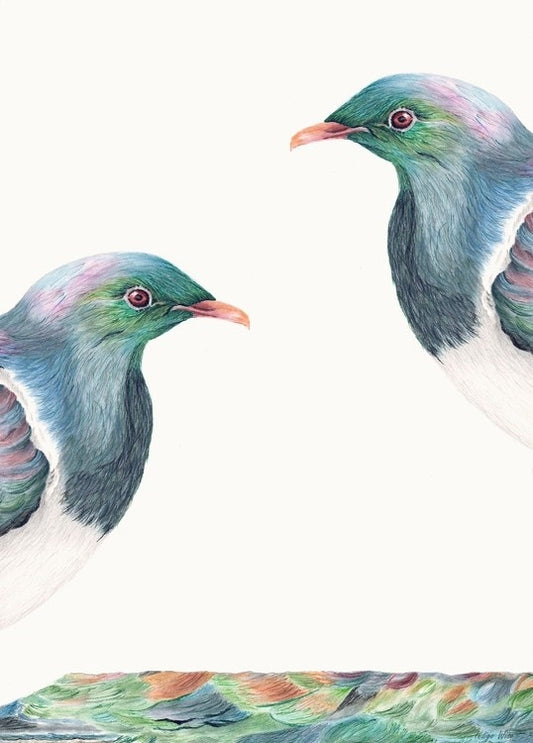 Kereru 4 by Indigo Wise Canva